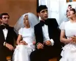 Program Bažanti jdou do boje