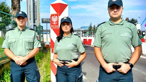 Nic do zgłoszenia 5