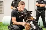 Program K9: Ocelový tesák