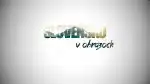 Program Slovensko v obrazoch