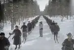 Války za polárním kruhem (4)