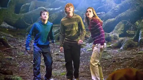 Harry Potter i Zakon Feniksa