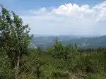 Program Divočina bez hranic