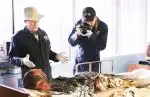 Námořní vyšetřovací služba II (8)