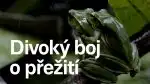 Program Divoký boj o přežití (2)