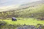 Program Top Gear XXII (4)