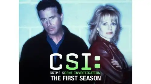 C.S.I.: Kriminálka Las Vegas (2)