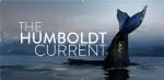 Humboldtův proud (3/3)