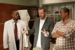 Dr. House VI (13/22)