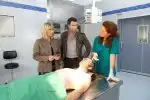 Program Vraždy v Kitzbühelu X (11)