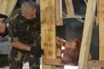 Program Brutální historie (1)