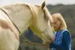 Program Wendy