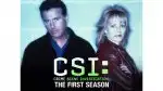 C.S.I.: Kriminálka Las Vegas (9)