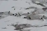 Program Všechny krásy Yellowstonu
