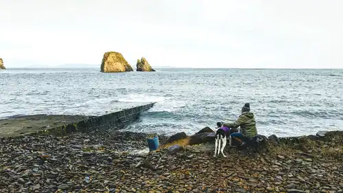 Weterynarz ze szkockich wyżyn