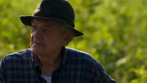 Przed zachodem słońca