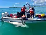 Program Když žraloci útočí VI (3)