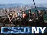 CSI: New York-i helyszínelők V (25)
