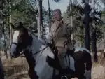 Eduard VIII.: Zrádce na britském trůnu