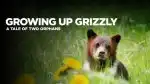 Program Dospívání grizzlyho: Příběh dvou sirotků