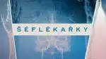 Program Šéflékařky (5/5)