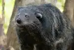 Program Poslední přírodní ráje (5/6)