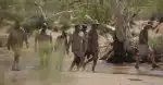 Tajemství uhlíku (1/3)