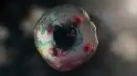 Pozoruhodná evoluce (3)