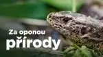 Program Za oponou přírody