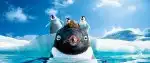 Program Happy Feet 2