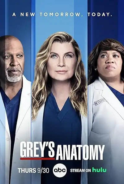 Hauptbild der Show Grey&#39;s Anatomy: Die jungen Ärzte