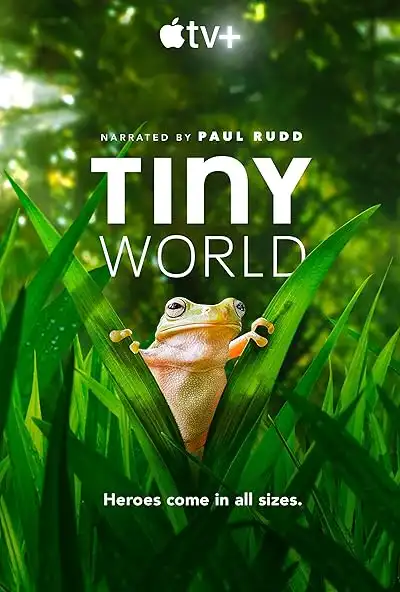 Hauptbild der Show Tiny World