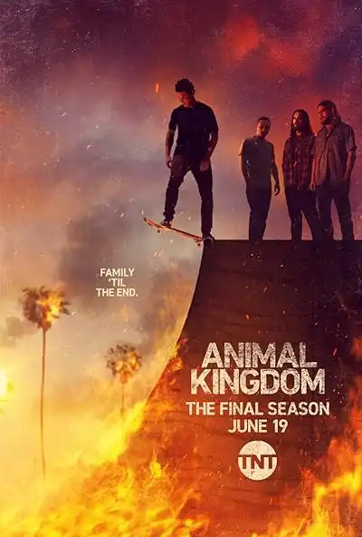 Animal Kingdom Programının Ana Görseli