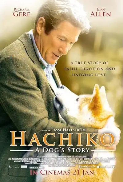 Hauptbild der Show Hachiko - Eine wunderbare Freundschaft